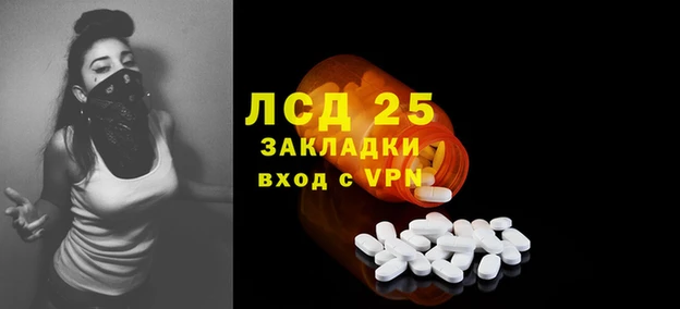 мяу мяу мука Алзамай